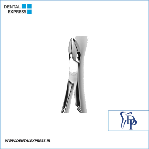 فورسپس ریشه کش پایین دناپویا Dena Puya مدل Wetzel
