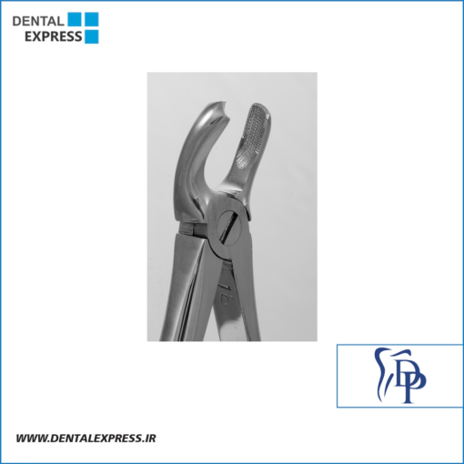 فورسپس مولر بالا راست دناپویا Dena Puya