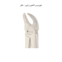 فورسپس کاهورن پایین (عقل) دناپویا