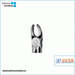 فورسپس بزرگسال مولر بالا راست جویا - JUYA Forceps Upper Molars Right
