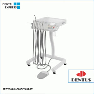 یونیت بزرگسال