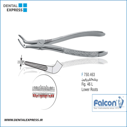 فورسپس ریشه کش پایین نازک فالکن – Falcon