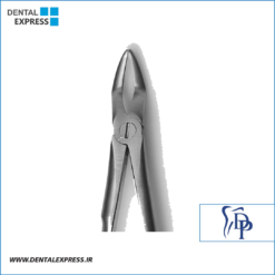 فورسپس ریشه کش بالا آناتومیک دناپویا Dena Puya