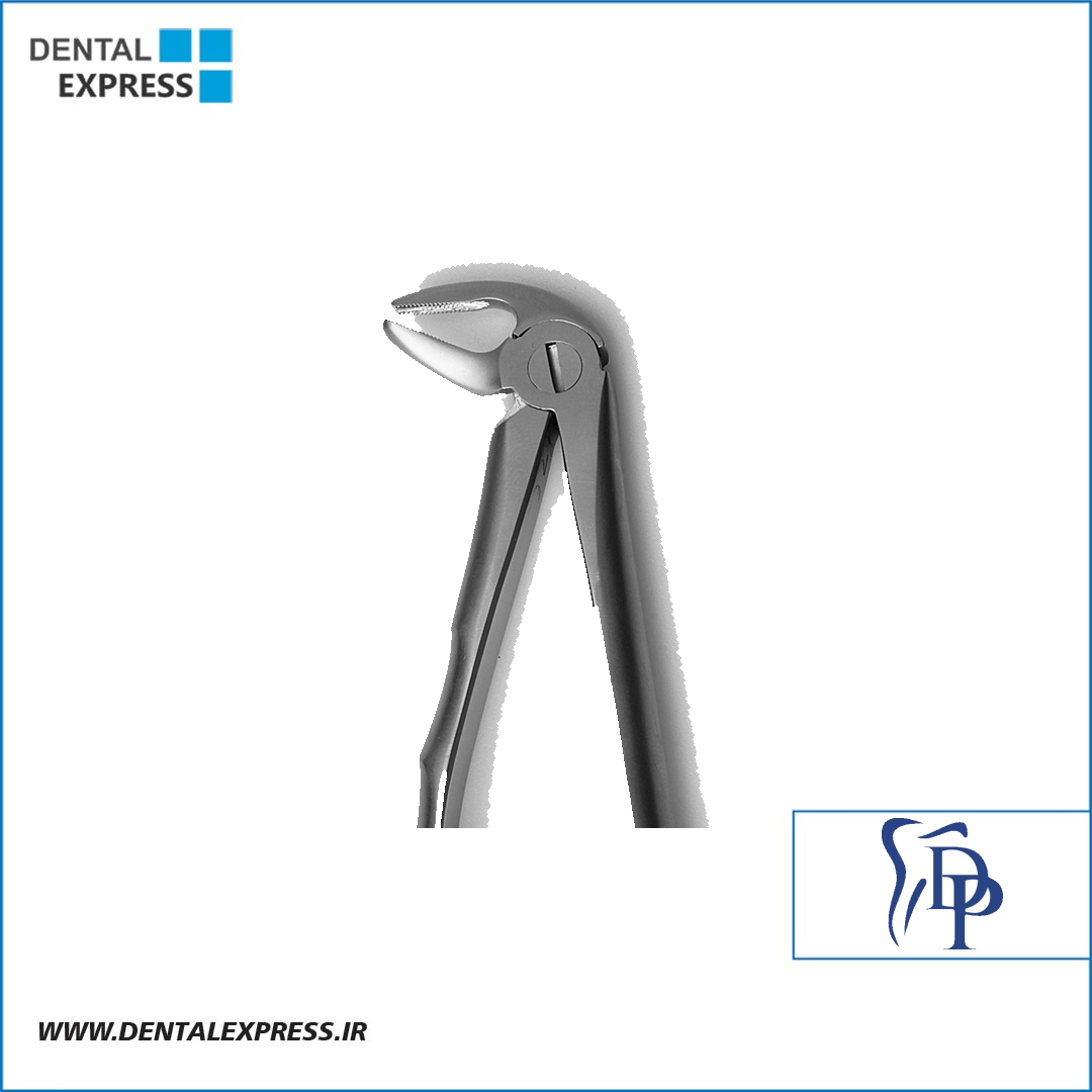 فورسپس ریشه کش پایین آناتومیک دناپویا Dena Puya