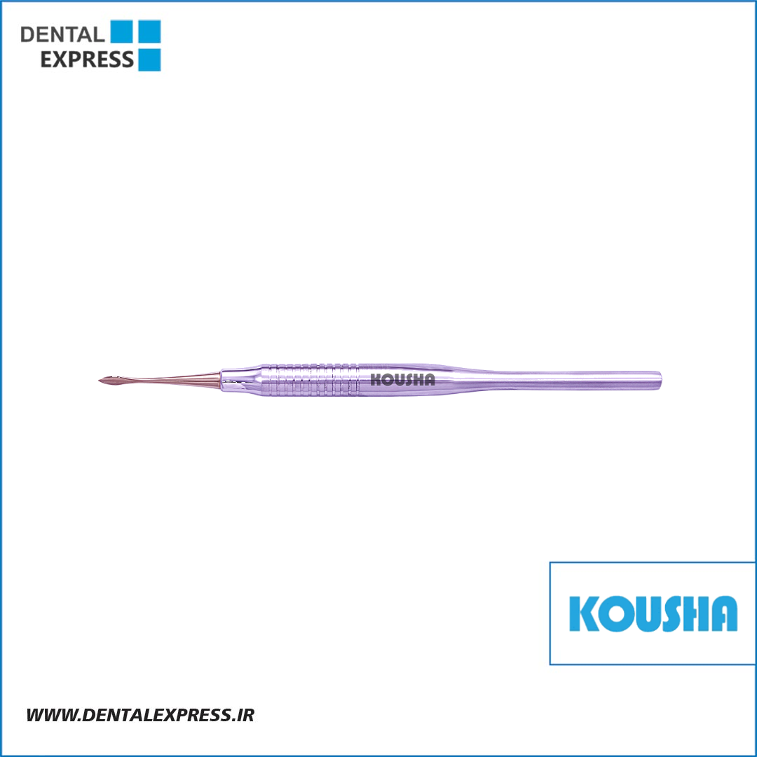 پريوتوم يكسر Anterior Streight کوشا – ⁦Kousha⁩