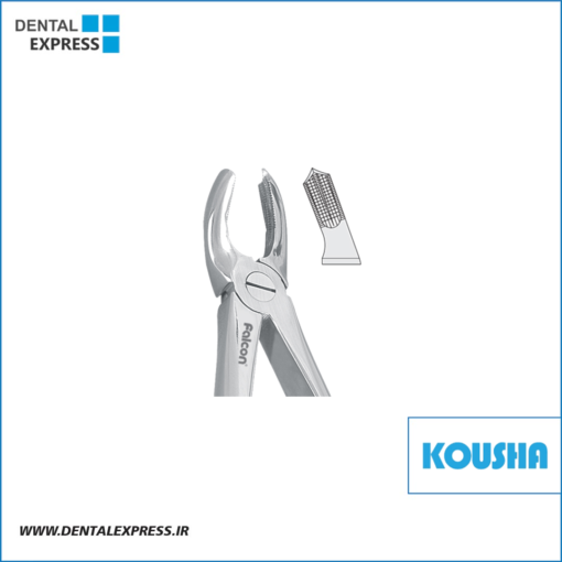 مولر بالا راست fig:١٧ کوشا – ⁦Kousha⁩