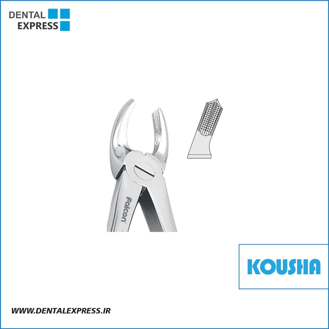 مولر بالا چپ fig:١٨ کوشا – ⁦Kousha⁩
