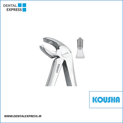 مولر پايين fig:22 کوشا – ⁦Kousha⁩