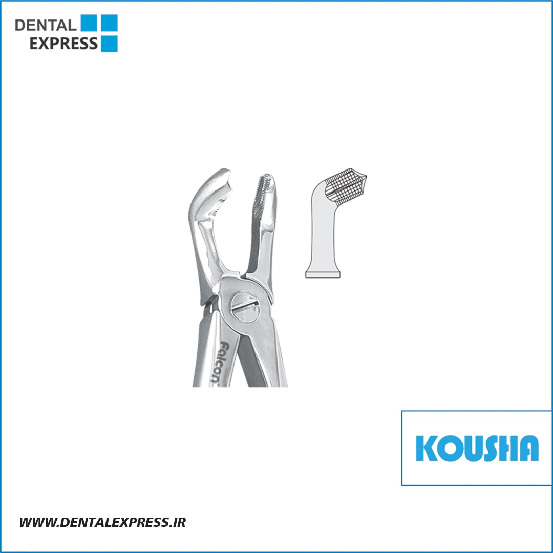 عقل پايين fig:٧٩ کوشا – ⁦Kousha⁩