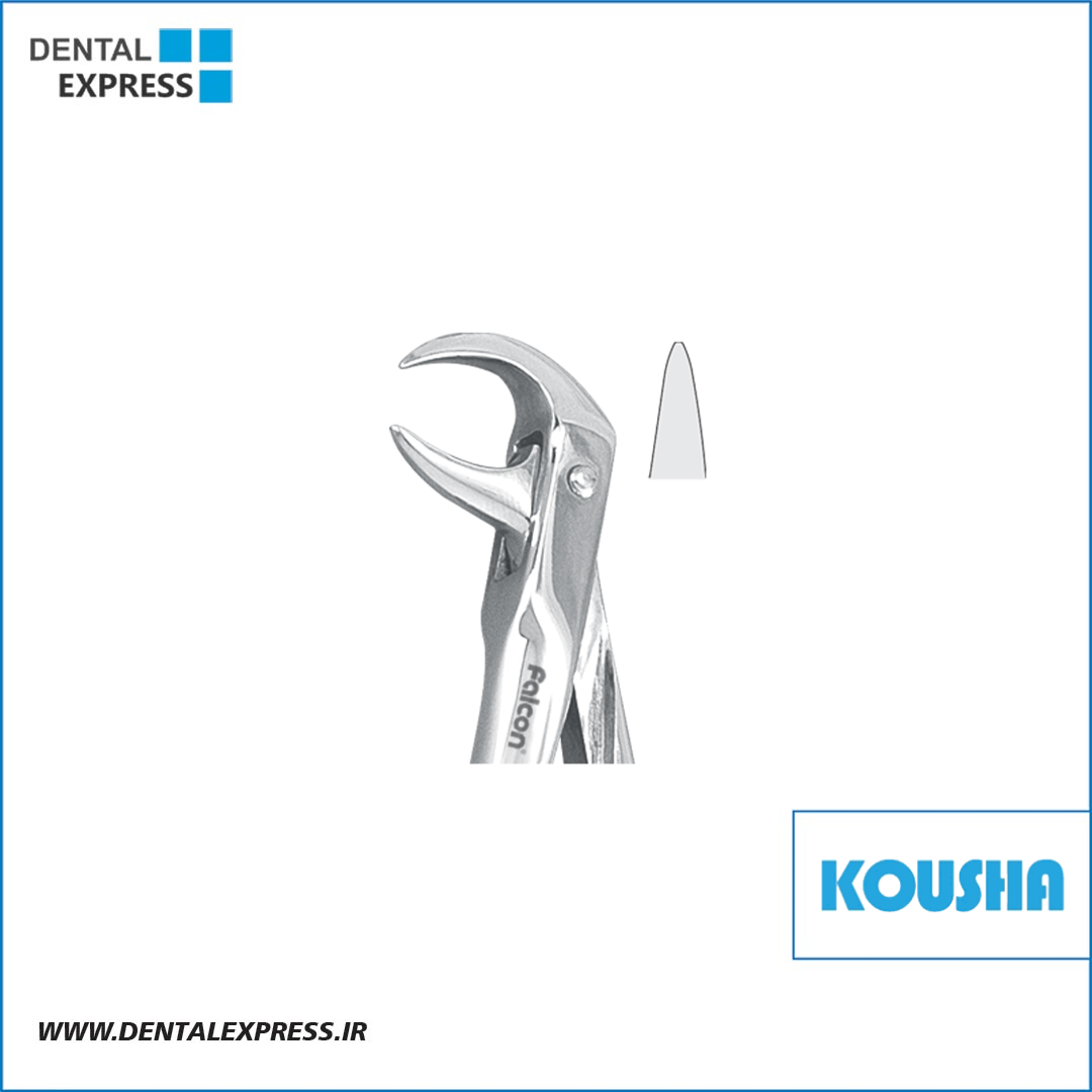 كاهورن پايين fig:٨٦ کوشا – ⁦Kousha⁩