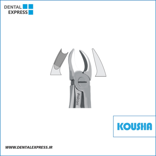 كاهورن بالا راست fig:٨٩ کوشا – ⁦Kousha⁩