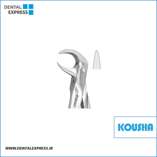 كاهورن پايين محدب کوشا – ⁦Kousha⁩
