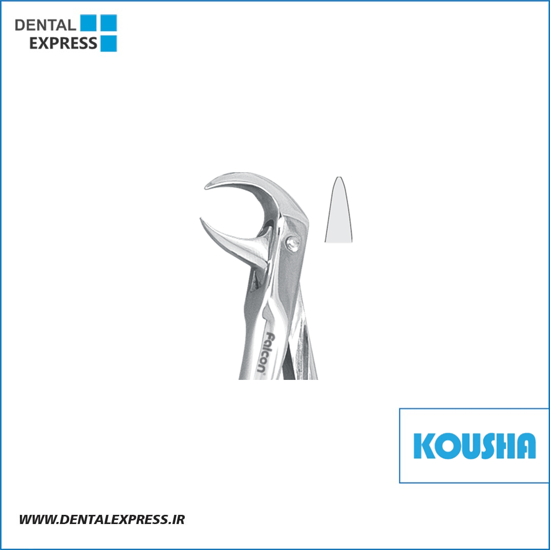 كاهورن پايين محدب کوشا – ⁦Kousha⁩