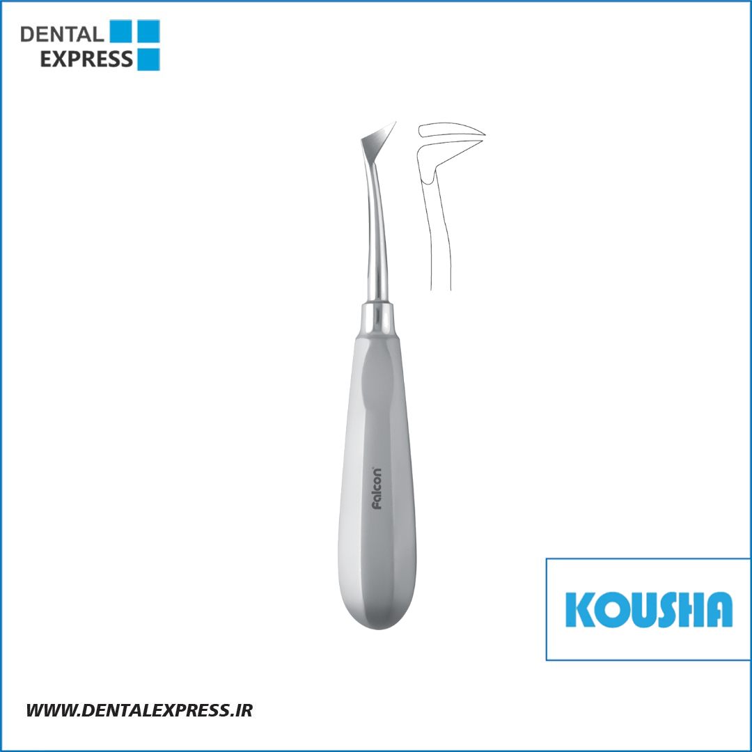 الواتور پرچمي سلدين چپ Root Seldin کوشا – ⁦Kousha⁩