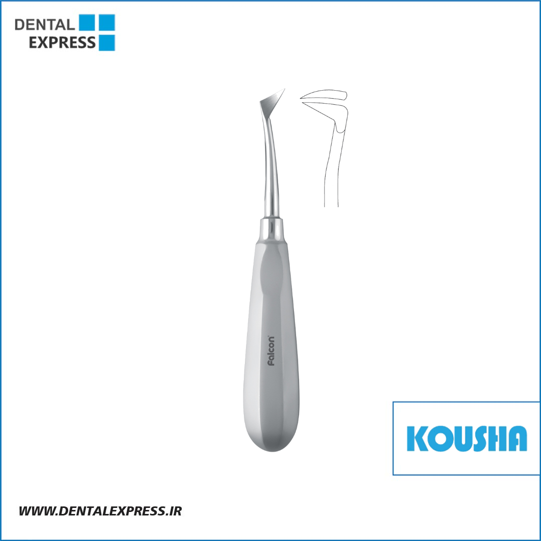 الواتور پرچمي سلدين راست Root Seldin کوشا – ⁦Kousha⁩