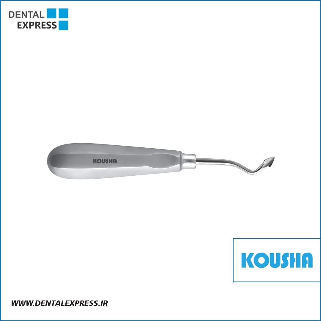 الواتور ريشه مستقيم Root Tip Heidebrink کوشا – ⁦Kousha⁩